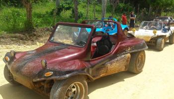 Fun buggy adventures roadside.